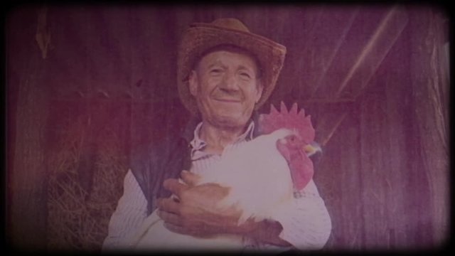 A farmer in a straw hat is holding a big white rooster. Video archive. Retro. Vintage. Farm animals. Portrait of an elderly farmer. Agriculture. Organic food. Ranch. Not vegetarianism, but meat-eating