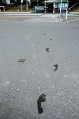 Wet footprints leading away from beach across a city street. Oriental Parade, Wellington, New Zealand
