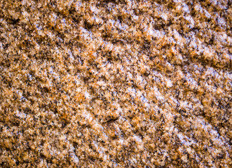 wet beige cave granite wall texture. background, geological.