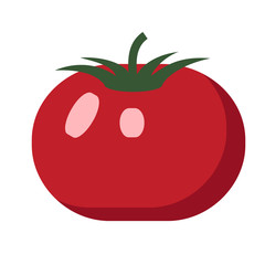 tomato flat color art illustration