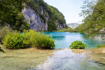Naklejka na ściany i meble turquoise waters of Plitvice Lakes National Park in Croatia