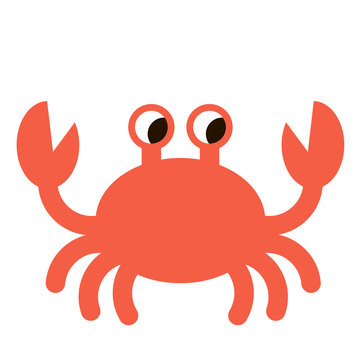 sea crab flat color art illustration