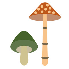 mushroom color simple illustration