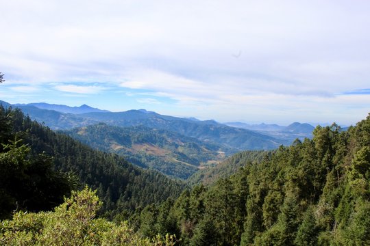 Vista desde el camino a uno de los santuarios de Mariposas Monarcas en M&eacute;xico