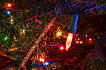 Macro Christmas tree lights
