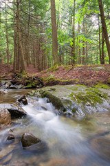 Naklejka na ściany i meble Silky rushing stream flowing over rocks in New England forest