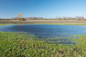 Blue water after rain on the field and sunny sky