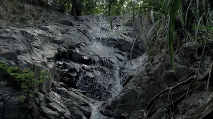 Close-up slow motion shot of small waterfall in the tropical rainforest jungle of Philippines. Small hidden rocky waterfall in jungle valley. Waterfall from a small mountain river in low mountains.
