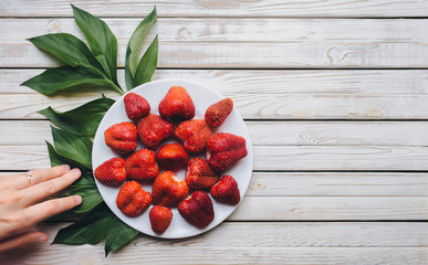 Strawberries on a white plate top view with peonies leaves, red berries on a white wooden background. Fresh strawberries on a rustic boards, vegetarian food, copy space.