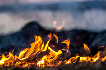 The flames of the fire burning the herb in the evening field, turning into coals and ashes with smoke. Soft focus and texture.