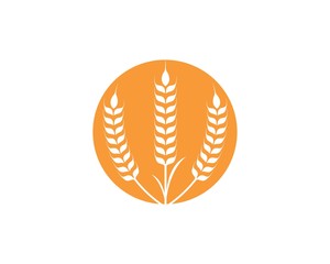 Agriculture wheat Logo Template vector icon