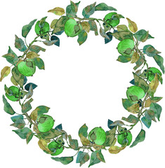 lush wreath green apples leaves branches ornament   isolated