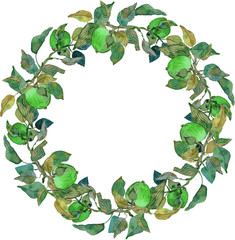 Fototapeta premium lush wreath green apples leaves branches ornament isolated