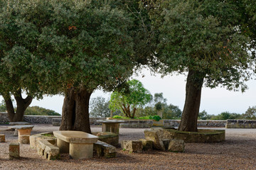 Olivenbäume am Kloster Randa, Randa, Mallorca, Spanien