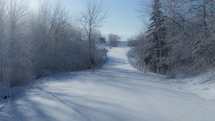 Fototapeta premium road in winter forest