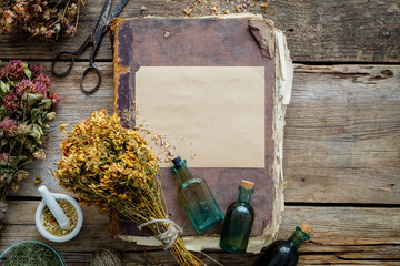 Old vintage book, tincture bottles, assortment of bunches of dry medicinal herbs, mortar. Herbal medicine. Top view. - obrazy, fototapety, plakaty