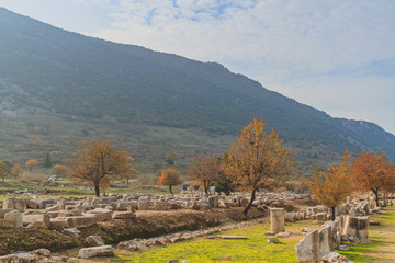 Ruins of the Ancient Greek city of Ephesus near Sel&ccedil;uk, Turkey