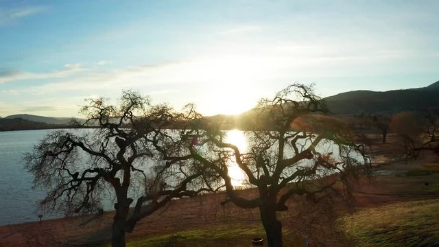 Sun Shining Through Bare Tree Branches, Aerial Rising Reveal of Lake Brite