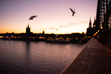 Obraz premium Birds Flying at Sunset