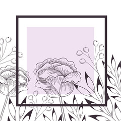 flowers and leafs with frame isolated icon