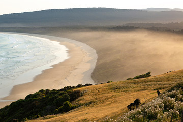 Sea Mist at Tautuku Bay and Reserve