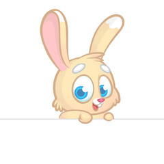 Cartoon bunny rabbit holding blank empty scroll of paper or sign for text. Vector illustration of bunny isolated