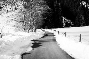pusterwald