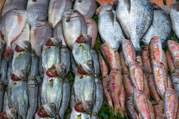 various fishes in market, sea food 
