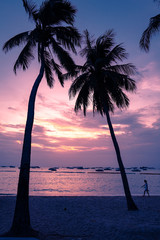 Silhouette of coconut trees by the beach against dramatic sunset sky background.