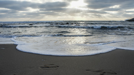 SONY DSC