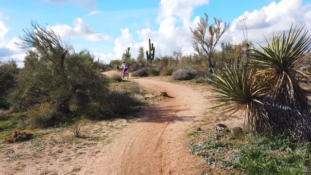 Mountain Biker in North Scottsdale