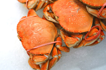 Frozen cooked red crab on the ice for sale