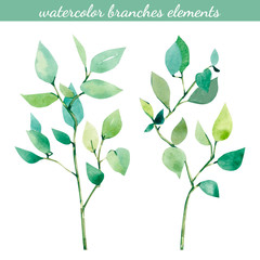 Hand painted watercolor branches elements