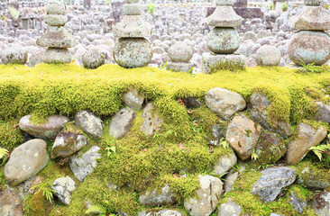 京都嵯峨野の寺院