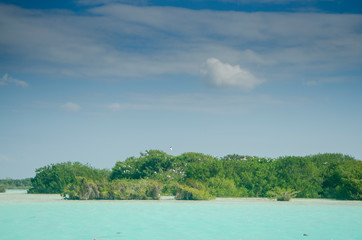 bacalar