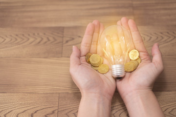 new idea concept, young women hand holding light bulb and coins on wooden backgrounds and new idea concept save power to save the earth