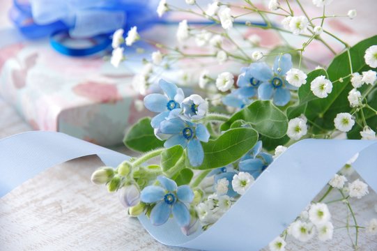 15 件の最適な 瑠璃唐綿 画像 ストック写真 ベクター Adobe Stock