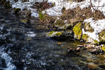 pusterwald