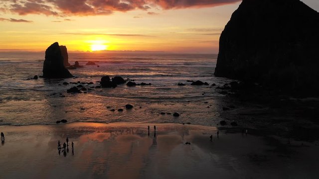 Wildlife of all sorts move about Cannon Beach as Pacific Ocean Waves Reflect Sunset Glow
