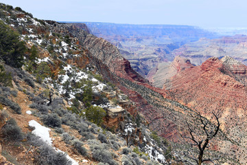 Panoramic View of the Grand Canyon