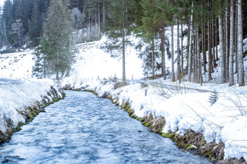pusterwald