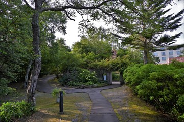 清里高原