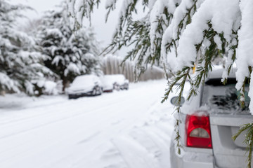 Close up of Snow Covered Branches with street and cars in background