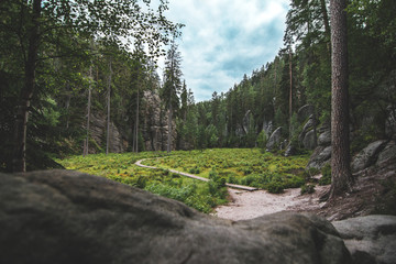 Green glade with long footpath surrounded by trees in Czech republic in Broumovsko