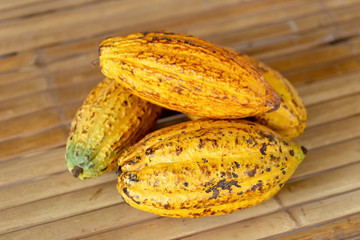 Cacao fruit, raw cacao beans and Cocoa pod background