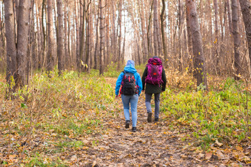 adventure, travel, tourism, hike and people concept - smiling couple walking with backpacks over natural background, back view