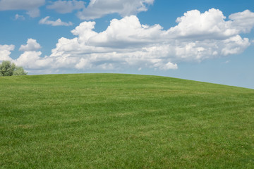 Obraz na płótnie Canvas Beautiful landscape. Green grass field and cloudy blue sky