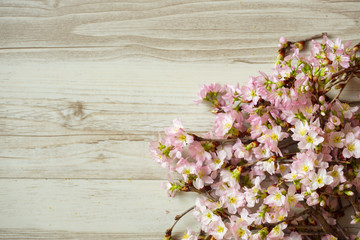 Sakura and wood grain background material. サクラと木目の背景素材