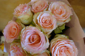 Pink roses. A bouquet of flowers close-up. Pradnichny bouquet. Present
