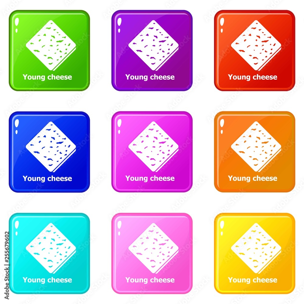 Poster cheese icons set 9 color collection isolated on white for any design